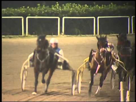 Trotto 13/01/2015 - 8° corsa