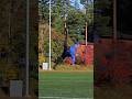 Autumn Shapes