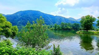 Softly And Tenderly - Anne Murray