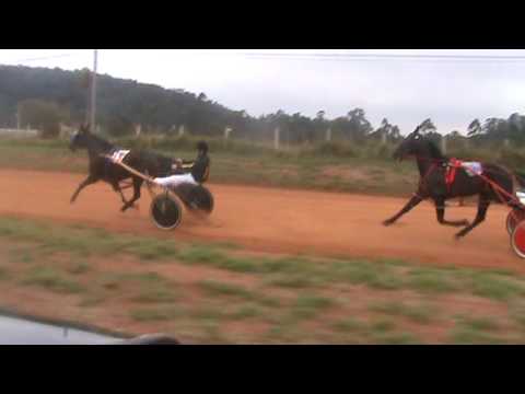 Aucallama 2 Esterlina 3 Silvado 4 Darrical