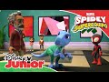 Marvel Conoce A Spidey Y Su Superequipo Compilado Disney Junior Oficial