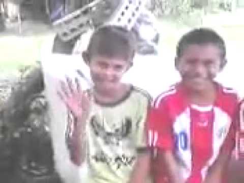 libera a la mariposa