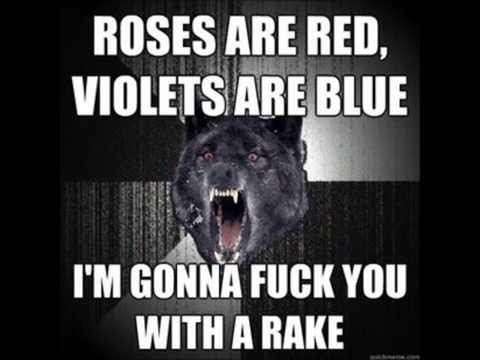 Courage Wolf, Insanity Wolf, and Advice Dog compilation