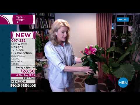 HSN | Outdoor Living 05.07.2021 - 02 AM