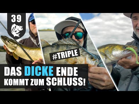 Zander, Hecht & Barsch: Der HERBST ist da! (ENDLICH.)