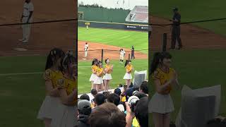 【Passion Sisters】#氣蓋山河 ドミニカVS中信兄弟@桃園棒球場 20241110 #台湾チア #cheerdance #cheerleading #passionsisters