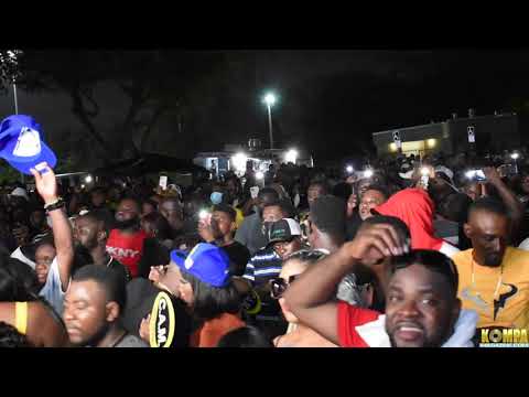 DISIP De Gazzman Couleur