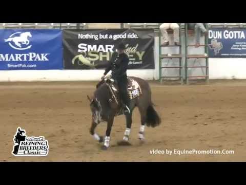 Paparazzi Princess ridden by Kelle Smith - 2014 NRBC(NP Finals)