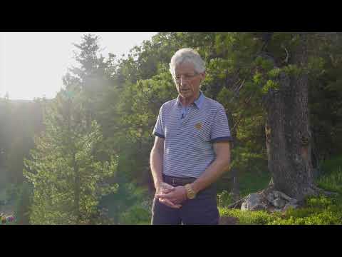 Landarzt Dr. Wolfgang Hochmeister über die Wirkung der Zirbe