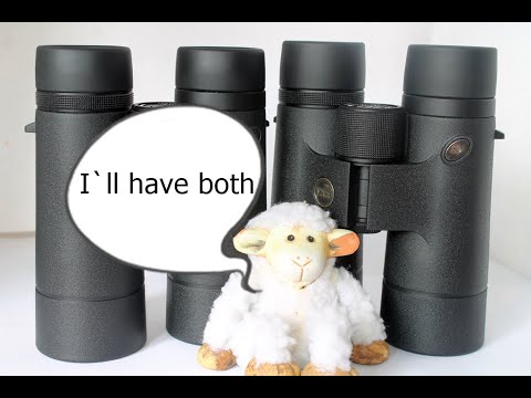 Viking Osprey 8x42 ED or 10x42 ED bird watching binoculars. Which is better ?