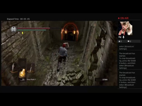Dark Souls Remastered Duo Squib Run Pt. 19 Return to Asylum