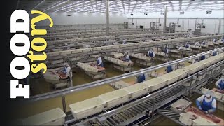 Thumbnail del capítulo