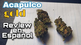 Review y cata de Cannabis (marihuana): Acapulco Gold. *FumadoresMX*