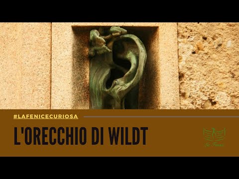 L'orecchio di Wildt