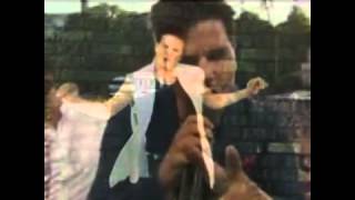 Stjernberg Robin Body Language