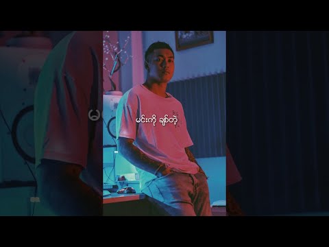 ရွှေထူး - မင်းရဲ့ပရိတ်သတ် (Lyric Video)