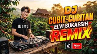 Download lagu Dj Cubit Cubitan - Elvsi Sukaesih - Remix Dj Gayo mp3