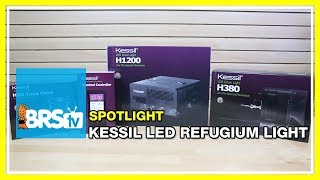 Kessil LED Refugium Light Spotlight - BRStv