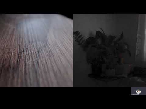 HIPNOZA REGRESIVA540 ELENA SI CIVILIZATIA DE APA A SI C MORARU