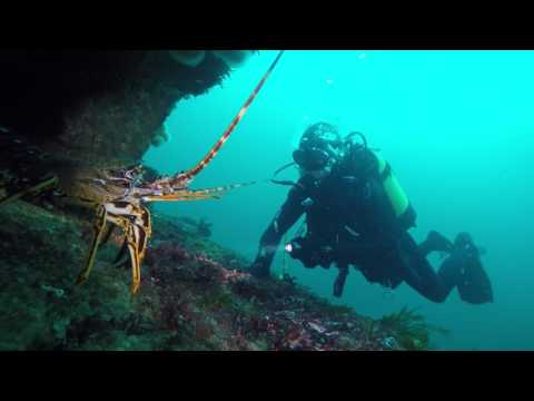 The Big Cray -  Kilkee 6 august 2107