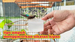 Download lagu WHO SAYS THAT MAKING A FAN BRUSH IS DIFFICULT⁉️ THIS IS HOW TO DO IT, BOZZ.. mp3