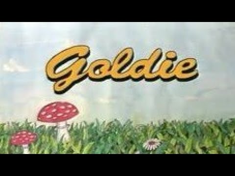 Goldie: Abenteuer im Zauberwald