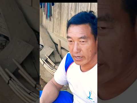 Kws Qeej keej heev nawb #shots