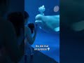 Beluga whale spooked little girl 😂
