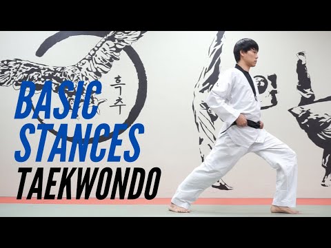 Taekwondo Basic Stances