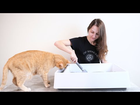 How to Clean Your Cat's Litter Box (Everything You ... - YouTube