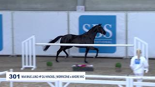 Un nouvel étalon pour Jessica Michel Botton