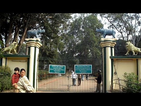 Guwahati video