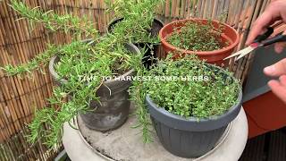 [食譜] 南非辣海鮮湯 --- 小酌極搭