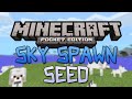 EPIC SKY SPAWN & 10+ WOLVES! - Minecraft ...