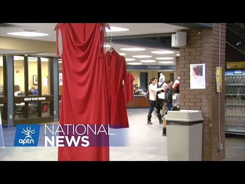 Implementation of Red Dress Alert will save lives says MP Leah Gazan | APTN News