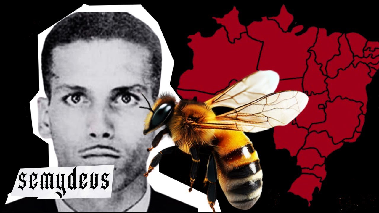 Uma Lenda/Mistério de Cada Estado do Brasil (Parte 2)