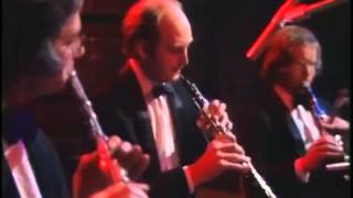 Camel - Friendship (Music Inspired by the Snow Goose)