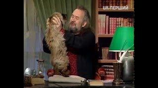 Казки Лірника Сашка. Найкраща принцеса