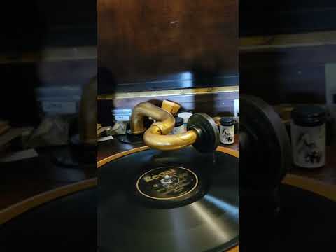 Will You be True? - Imperial Dance Orchestra Regal Records #8417 1927