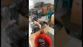 Download lagu Visit Our Vanilla Beans Factory - Indonesia mp3 Download lagu Visit Our Vanilla Beans Factory - Indonesia mp3