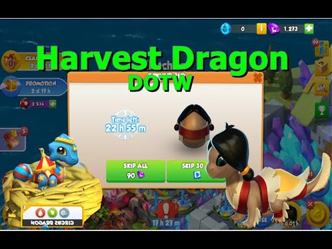Harvest Dragon hatching start-Dragon Mania legends | Hatched Circus Dragon | DML