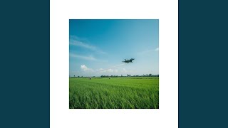 Download lagu If You Never Try, You’ll Never Know mp3 Download lagu If You Never Try, You’ll Never Know mp3