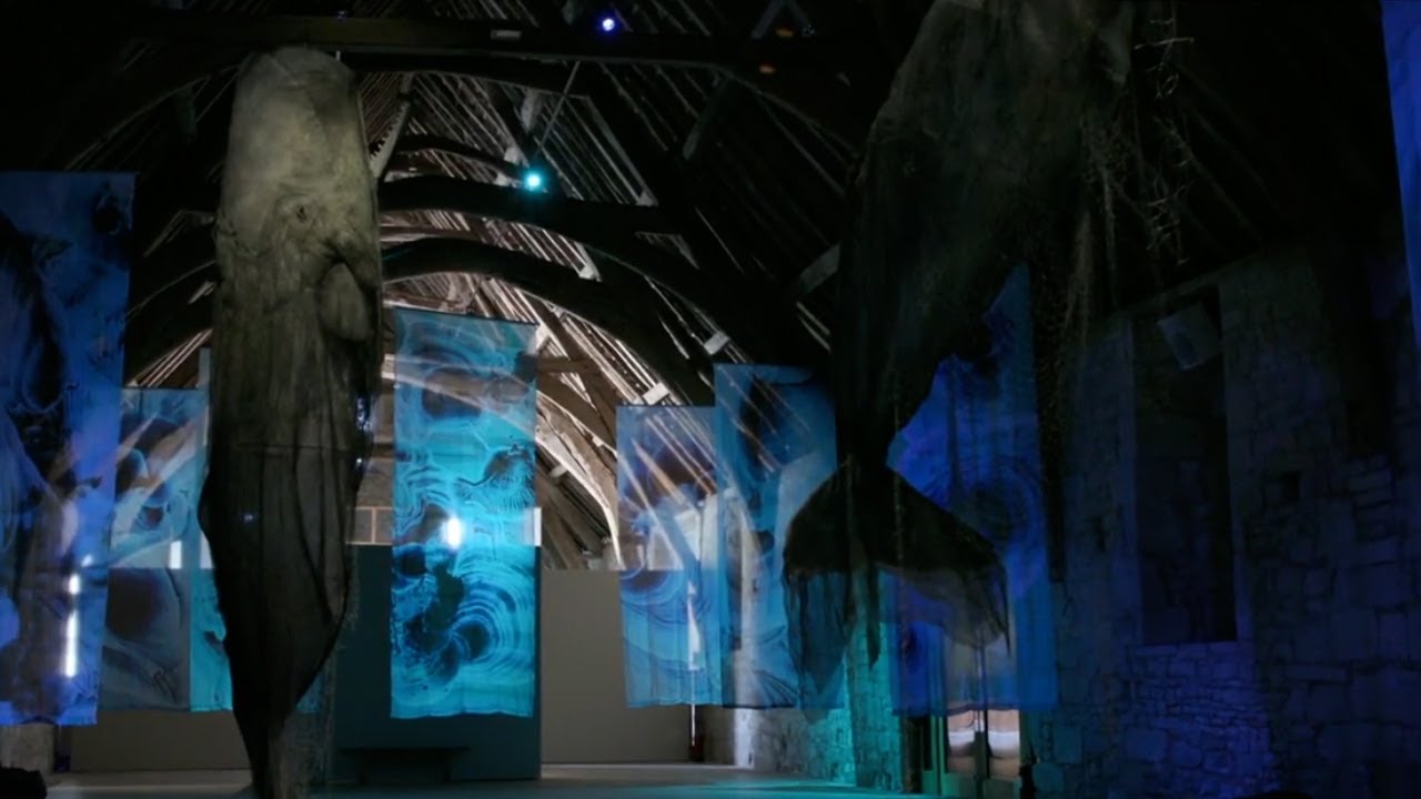 ARTIST TALK: Tessa at Oh! is for Ocean Symposium