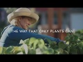 Meadows Farms