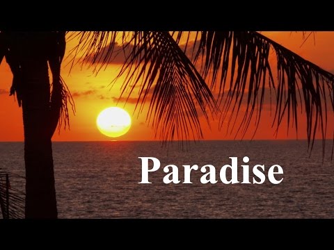 Mike Candys - Paradise (Lyric Video) ft. U-Jean