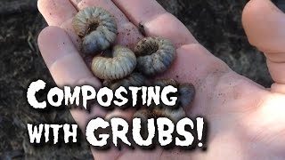 Composting with Worms/Grubs
