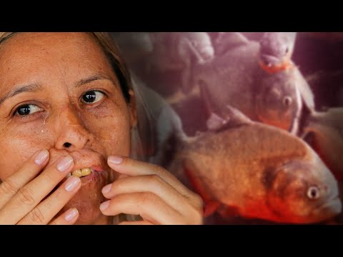 Elle a SURVÉCU à une ATTAQUE de PIRANHAS ! - Cyril Chauquet