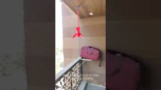 4 BHK Flat for Sale in Vesu, Surat