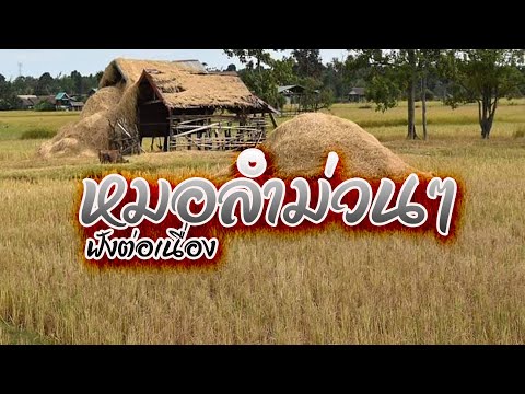 หมอลำม่วนๆฟังต่อเนื่อง