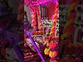 Hum Sab Bolenge Happy Birthday To You Shyam Cute Krishna Shorts Krishna Cute Janmashtami